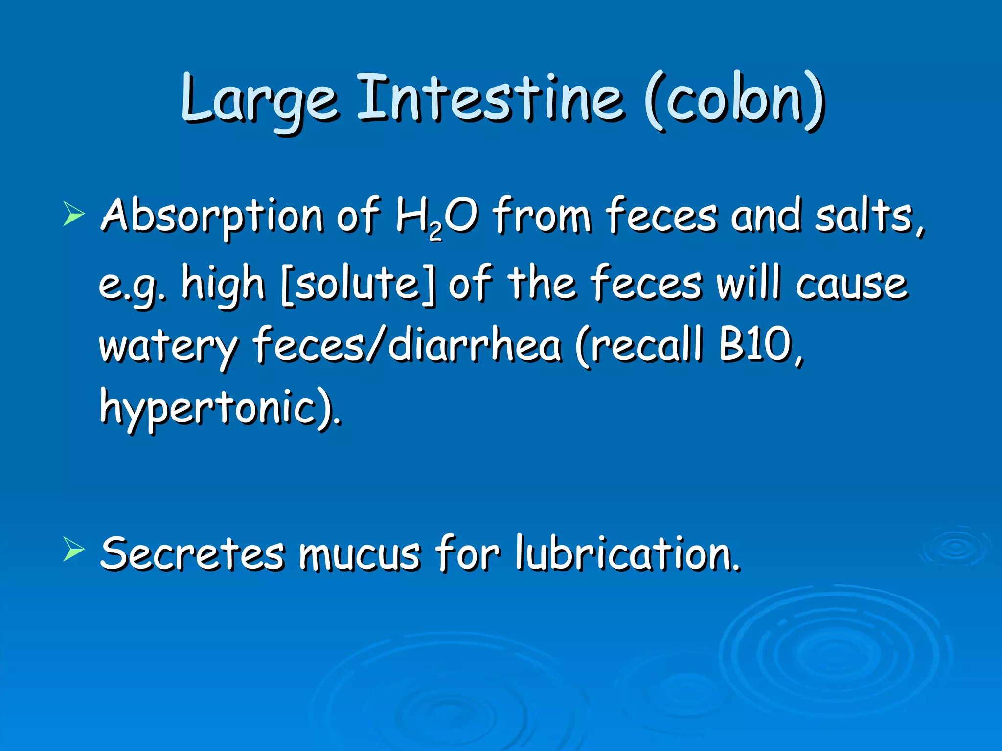 Large Intestine (colon) Absorption of H 2 O from feces and salts, e.g. high [solute] of the feces will cause watery feces/diarrhea (recall B10, hypertonic). Secretes mucus for lubrication.  