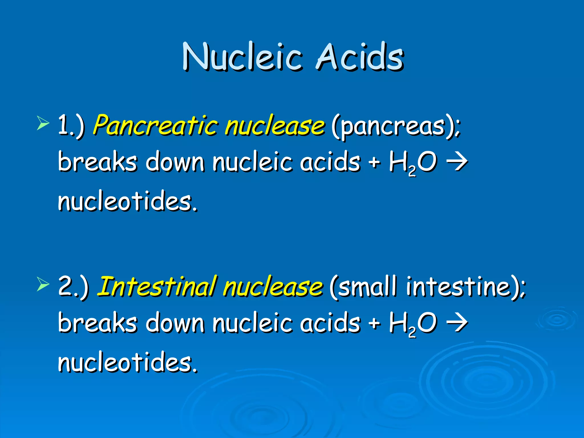 Nucleic Acids 1.)  Pancreatic nuclease  (pancreas); breaks down nucleic acids + H 2 O    nucleotides. 2.)  Intestinal nuclease  (small intestine); breaks down nucleic acids + H 2 O    nucleotides. 