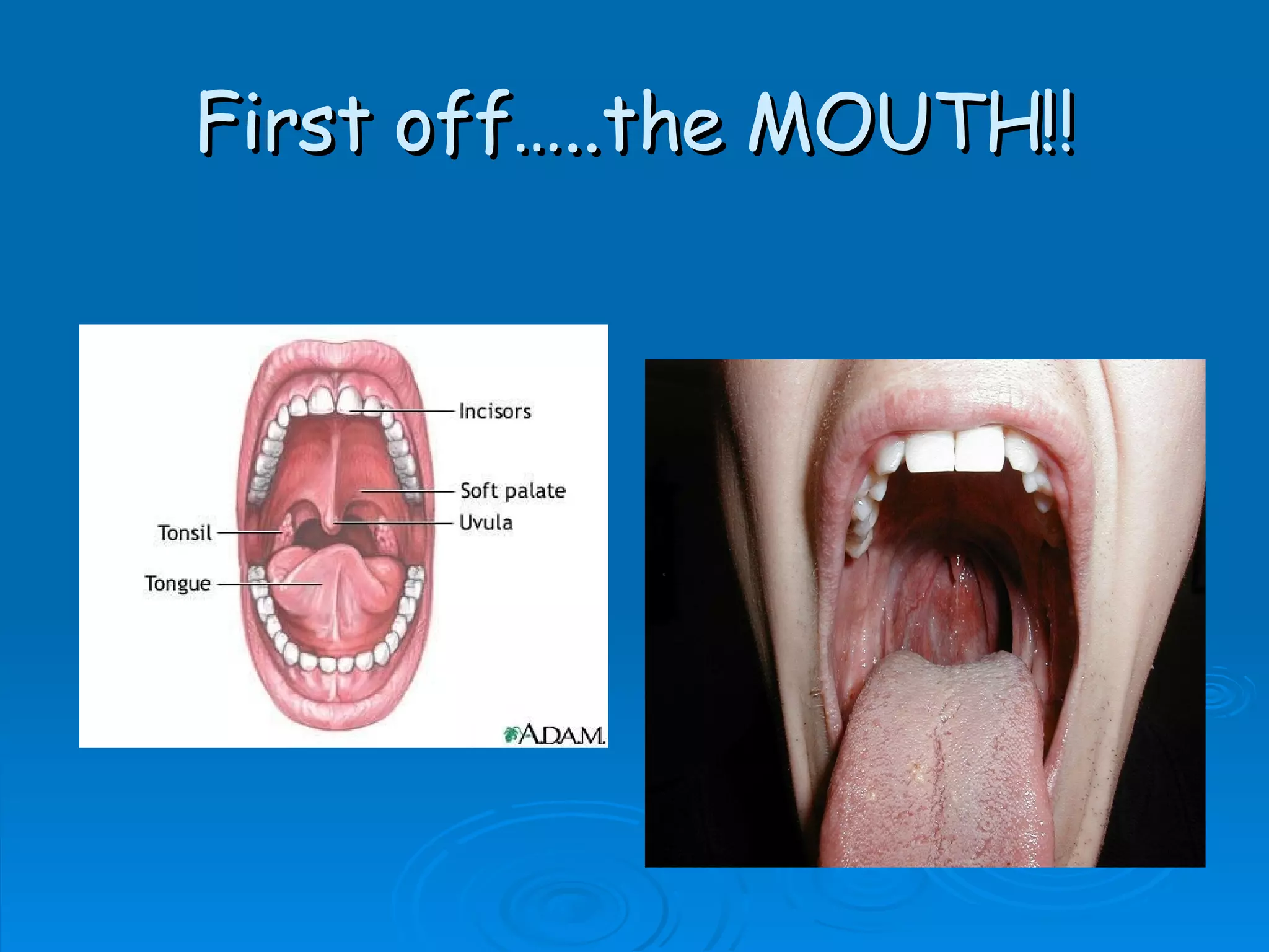 First off…..the MOUTH!! 