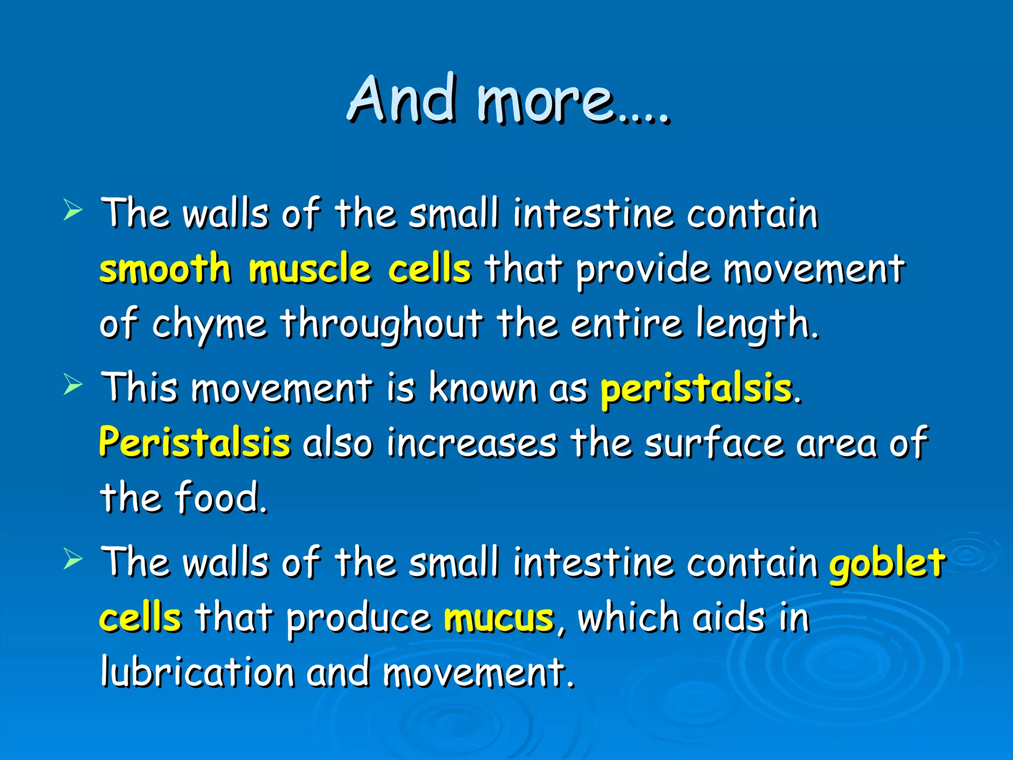 And more…. The walls of the small intestine contain  smooth muscle cells  that provide movement of chyme throughout the entire length.  This movement is known as  peristalsis .  Peristalsis  also increases the surface area of the food.  The walls of the small intestine contain  goblet cells  that produce  mucus , which aids in lubrication and movement.  