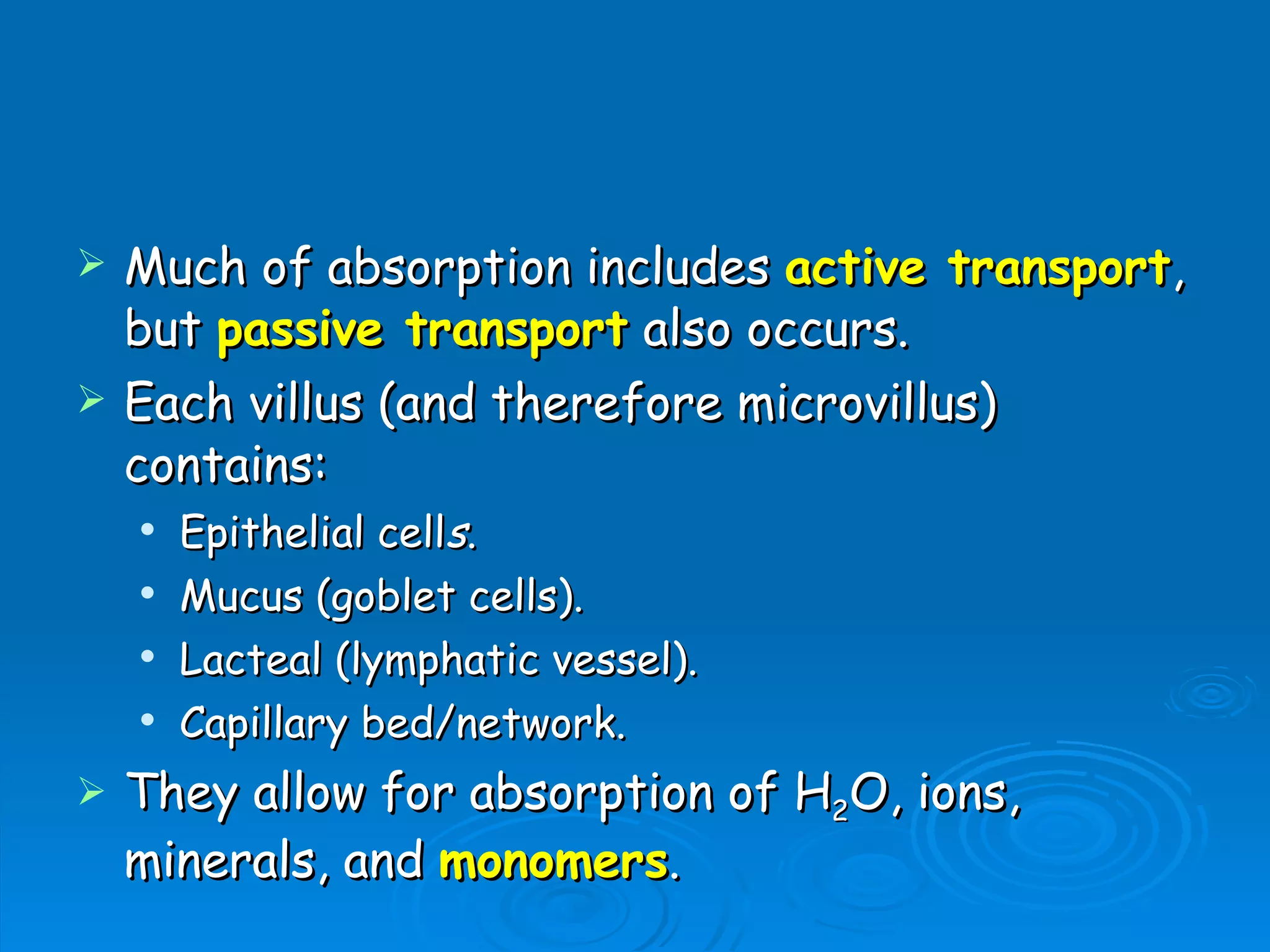 Much of absorption includes  active transport , but  passive transport  also occurs. Each villus (and therefore microvillus) contains: Epithelial cell s . Mucus (goblet cells). Lacteal (lymphatic vessel). Capillary bed/network. They allow for absorption of H 2 O, ions, minerals, and  monomers . 