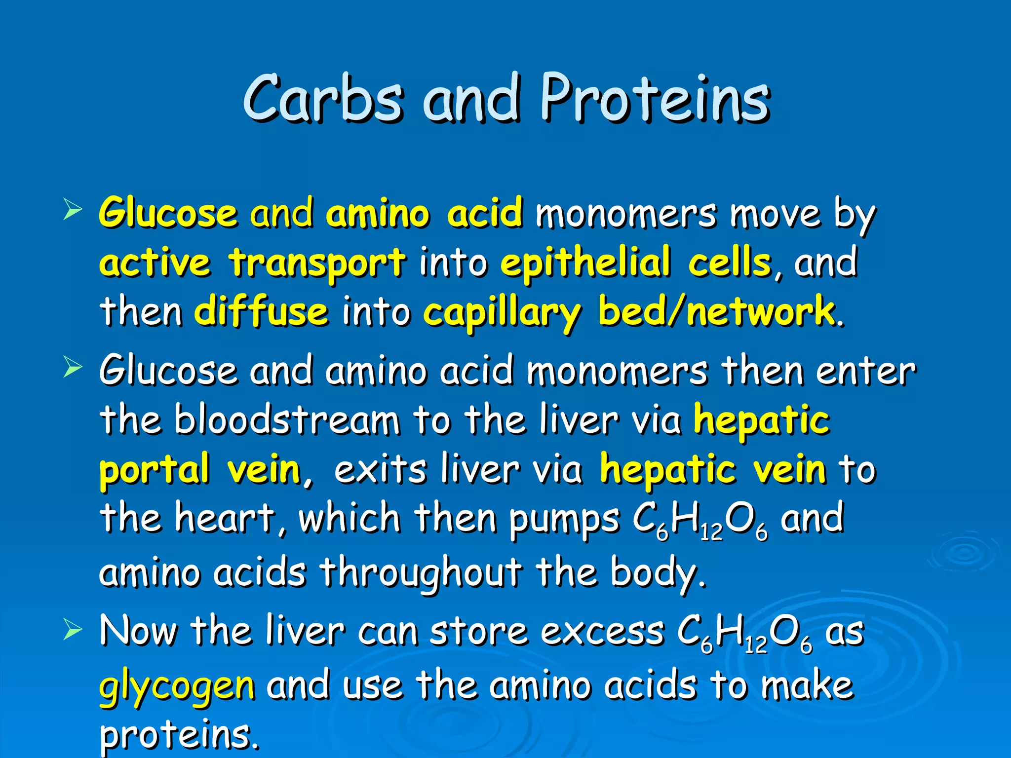 Carbs and Proteins Glucose  and  amino acid  monomers move by  active transport  into  epithelial cells , and then  diffuse  into  capillary bed / network .  Glucose and amino acid monomers then enter the bloodstream to the liver via  hepatic portal vein ,  exits liver via   hepatic vein  to the heart, which then pumps C 6 H 12 O 6  and amino acids throughout the body. Now the liver can store excess C 6 H 12 O 6  as  glycogen  and use the amino acids to make proteins. 