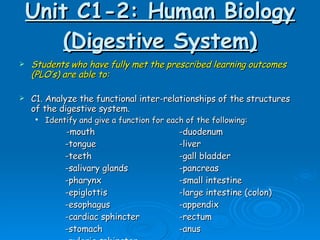 Unit C1-2: Human Biology (Digestive System) ,[object Object],[object Object],[object Object],[object Object],[object Object],[object Object],[object Object],[object Object],[object Object],[object Object],[object Object],[object Object],[object Object]