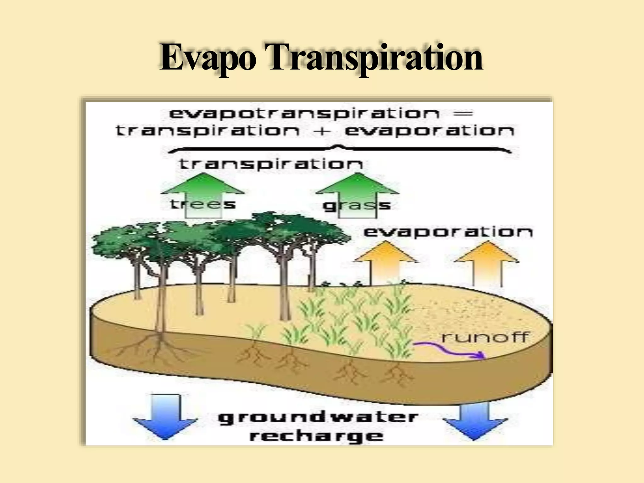 Evapo Transpiration
 