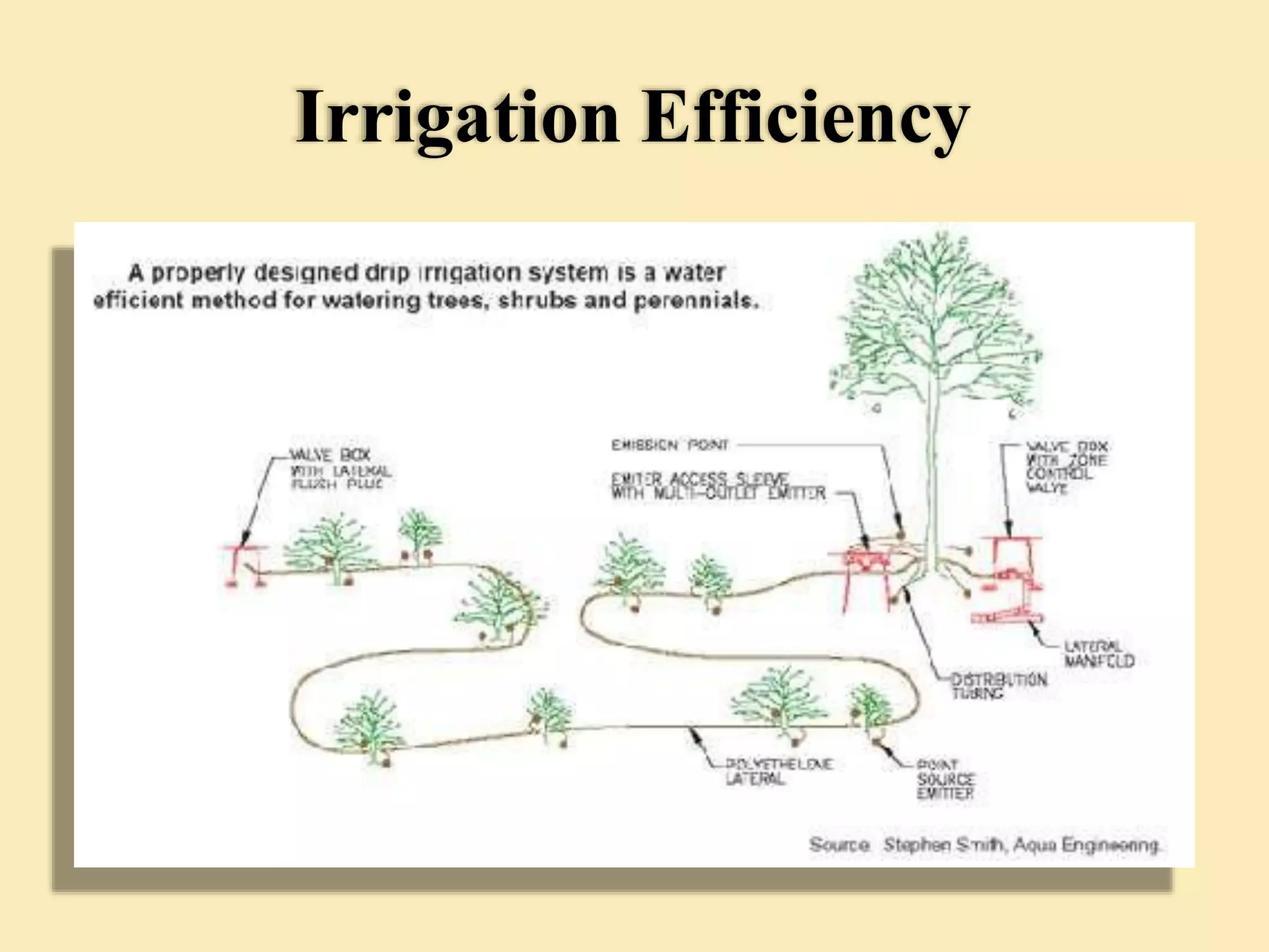 Irrigation Efficiency
 