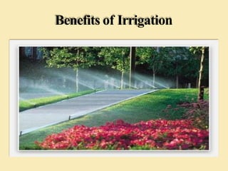 Benefits of Irrigation
 