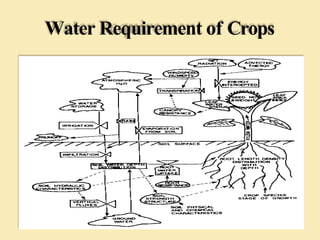 Water Requirement of Crops
 