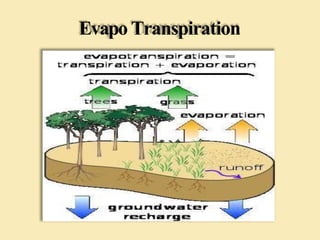 Evapo Transpiration
 