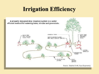 Irrigation Efficiency
 