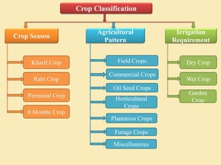 Crop Classification
Crop Season
Agricultural
Pattern
Irrigation
Requirement
Kharif Crop
Rabi Crop
Perennial Crop
8 Months Crop
Dry Crop
Wet Crop
Garden
Crop
Field Crops
Commercial Crops
Plantation Crops
Horticultural
Crops
Miscellaneous
Oil Seed Crops
Forage Crops
 