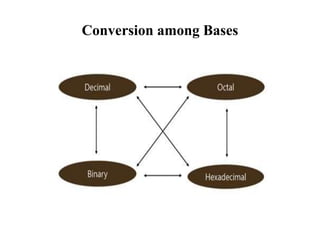 Conversion among Bases
 