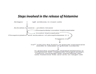 Steps involved in the release of histamine
 