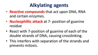 Alkylating agents
• Reactive compounds that act upon DNA, RNA
and certain enzymes.
• Nucleophillic attack at 7- position of guanine
residue
• React with 7-position of guanine of each of the
double strands of DNA, causing crosslinking.
• This interfers with separation of the strands and
prevents mitosis.
 