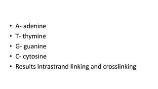 • A- adenine
• T- thymine
• G- guanine
• C- cytosine
• Results intrastrand linking and crosslinking
 