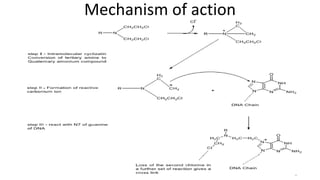 Mechanism of action
 