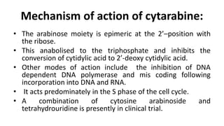 Mechanism of action of cytarabine:
• The arabinose moiety is epimeric at the 2’–position with
the ribose.
• This anabolised to the triphosphate and inhibits the
conversion of cytidylic acid to 2’-deoxy cytidylic acid.
• Other modes of action include the inhibition of DNA
dependent DNA polymerase and mis coding following
incorporation into DNA and RNA.
• It acts predominately in the S phase of the cell cycle.
• A combination of cytosine arabinoside and
tetrahydrouridine is presently in clinical trial.
 