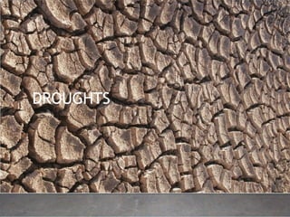 DISASTER SURVIVAL GUIDE 29
DROUGHTS
 
