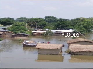 DISASTER SURVIVAL GUIDE 51
FLOODS
 