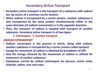 Secondary Active Transport
• Secondary active transport is the transport of a substance with sodium
ion, by means of a common carrier protein.
• When sodium is transported by a carrier protein, another substance is
also transported by the same protein simultaneously, either in the
same direction (of sodium movement) or in the opposite direction.
• Thus, the transport of sodium is coupled with transport of another
substance. Secondary active transport is of two types:
1. Cotransport , 2. Counter transport.
SODIUM COTRANSPORT
• Sodium cotransport is the process in which, along with sodium,
another substance is transported by a carrier protein called symport.
• Energy for movement of sodium is obtained by breakdown of ATP.
• And the energy released by the movement of sodium is utilized for
movement of another substance.
• Substances carried by sodium cotransport are glucose, amino acids,
chloride, iodine, iron and urate.
22
 