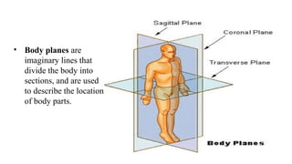 Unit-I, A&P.pptx introduction to anatomy | PPTX