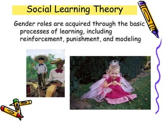 Social Learning Theory
Gender roles are acquired through the basic
processes of learning, including
reinforcement, punishment, and modeling
 