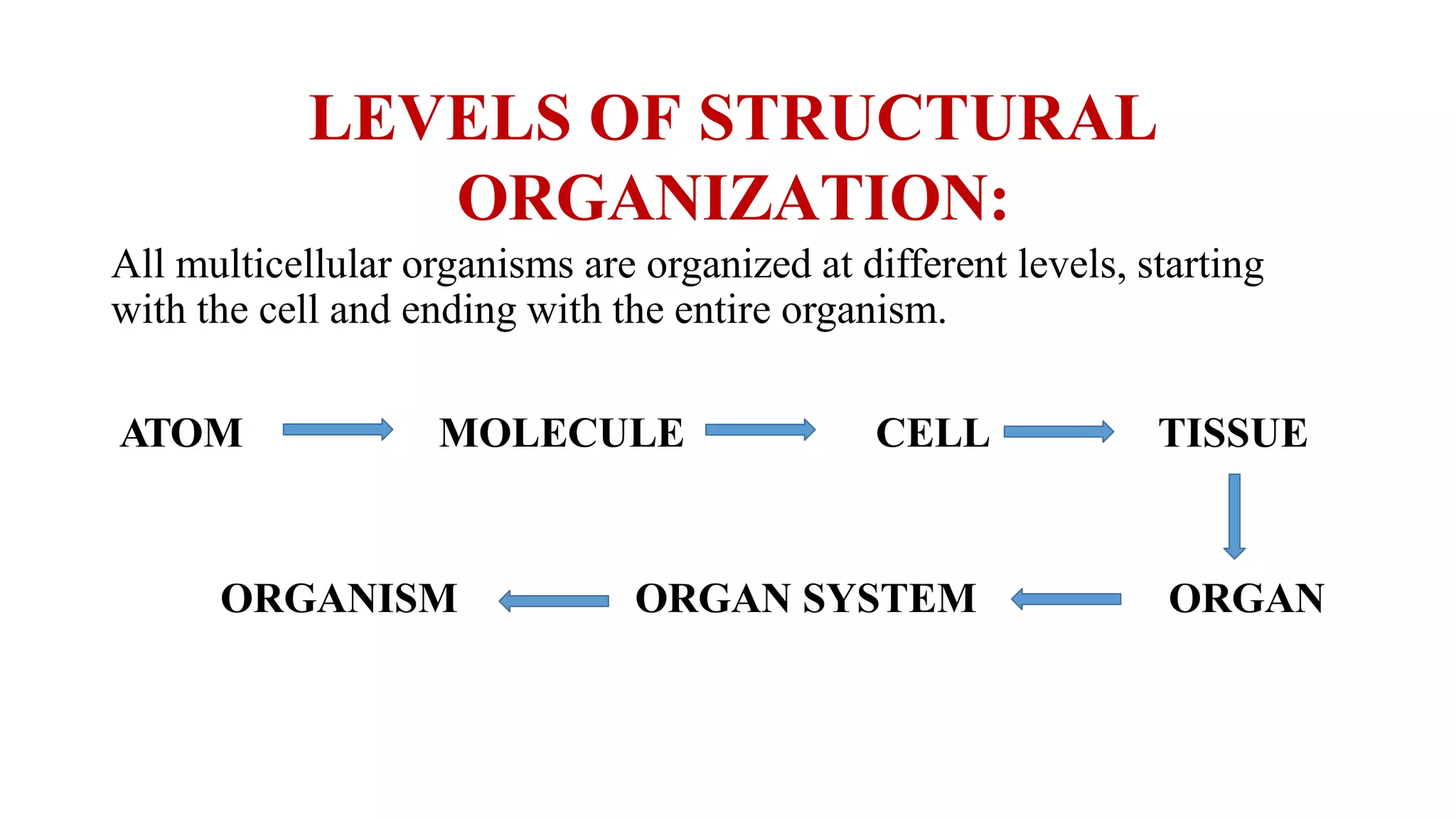 Unit I, chapter-1- introduction to human body final | PPTX