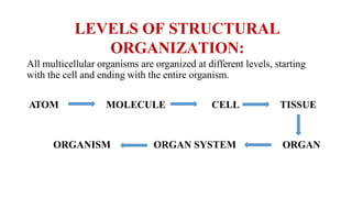 LEVELS OF STRUCTURAL
ORGANIZATION:
All multicellular organisms are organized at different levels, starting
with the cell and ending with the entire organism.
ATOM MOLECULE CELL TISSUE
ORGANISM ORGAN SYSTEM ORGAN
 