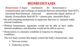 HOMEOSTASIS
Homeostasis- A major mechanism for homeostasis is
communication and exchange of materials between intracellular fluid (ICF),
interstitial fluid (between cells) and plasma (the liquid portion of
blood). (Extracellular fluid (ECF) = plasma plus interstitial fluid.)
• the self-sustaining mechanisms in organisms that tries to maintain stable
internal conditions.
• Without homeostasis, organisms would not be able to have stable
internal conditions, and therefore would not be able to survive.
• Homeostasis is a dynamic condition in response to changing
conditions.
The two body systems that largely control the body’s homeostatic state:
1. Nervous system
2. Endocrine system
 