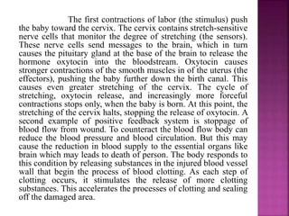 The first contractions of labor (the stimulus) push
the baby toward the cervix. The cervix contains stretch-sensitive
nerve cells that monitor the degree of stretching (the sensors).
These nerve cells send messages to the brain, which in turn
causes the pituitary gland at the base of the brain to release the
hormone oxytocin into the bloodstream. Oxytocin causes
stronger contractions of the smooth muscles in of the uterus (the
effectors), pushing the baby further down the birth canal. This
causes even greater stretching of the cervix. The cycle of
stretching, oxytocin release, and increasingly more forceful
contractions stops only, when the baby is born. At this point, the
stretching of the cervix halts, stopping the release of oxytocin. A
second example of positive feedback system is stoppage of
blood flow from wound. To counteract the blood flow body can
reduce the blood pressure and blood circulation. But this may
cause the reduction in blood supply to the essential organs like
brain which may leads to death of person. The body responds to
this condition by releasing substances in the injured blood vessel
wall that begin the process of blood clotting. As each step of
clotting occurs, it stimulates the release of more clotting
substances. This accelerates the processes of clotting and sealing
off the damaged area.
 