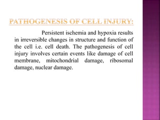 Persistent ischemia and hypoxia results
in irreversible changes in structure and function of
the cell i.e. cell death. The pathogenesis of cell
injury involves certain events like damage of cell
membrane, mitochondrial damage, ribosomal
damage, nuclear damage.
 