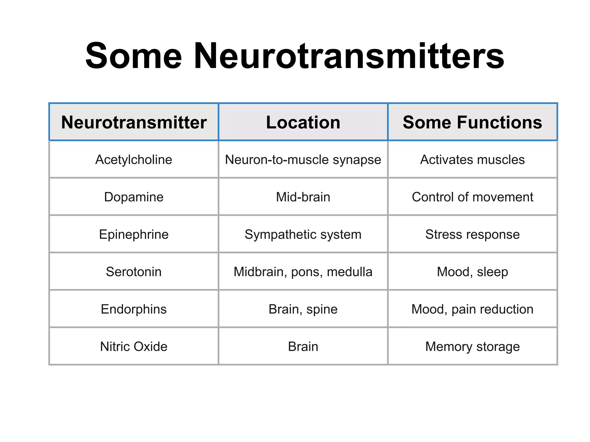 Some Neurotransmitters
Neurotransmitter Location Some Functions
Acetylcholine Neuron-to-muscle synapse Activates muscles
Dopamine Mid-brain Control of movement
Epinephrine Sympathetic system Stress response
Serotonin Midbrain, pons, medulla Mood, sleep
Endorphins Brain, spine Mood, pain reduction
Nitric Oxide Brain Memory storage
 