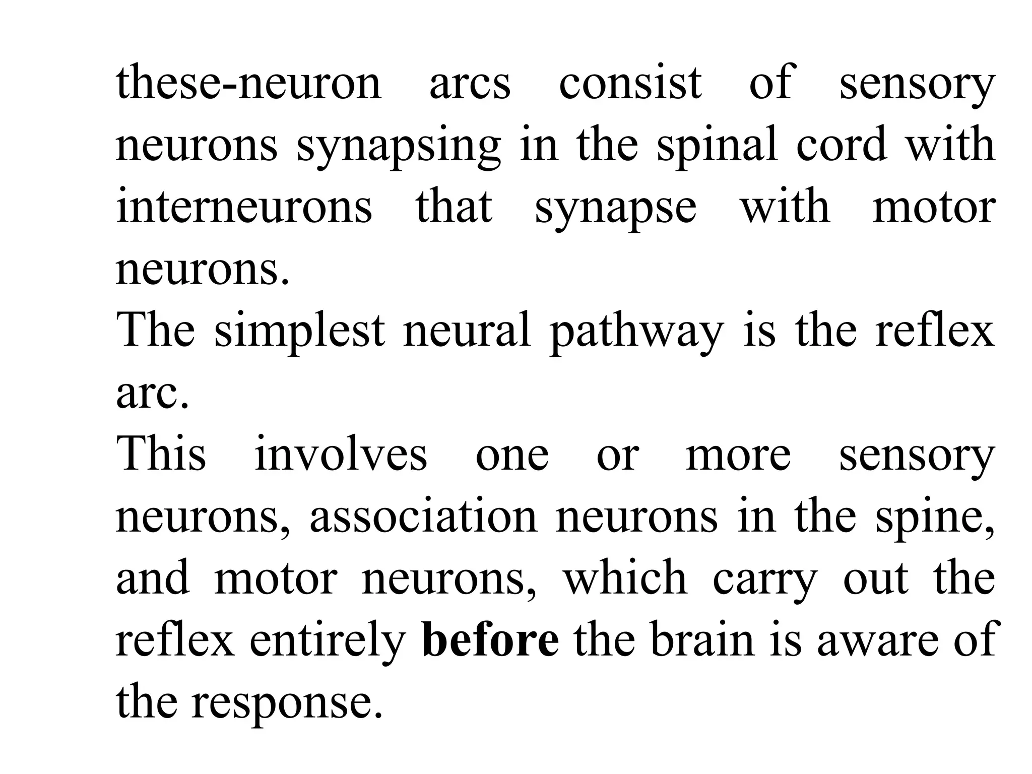 these-neuron arcs consist of sensory
neurons synapsing in the spinal cord with
interneurons that synapse with motor
neurons.
The simplest neural pathway is the reflex
arc.
This involves one or more sensory
neurons, association neurons in the spine,
and motor neurons, which carry out the
reflex entirely before the brain is aware of
the response.
 