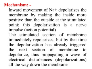 Mechanism: -
Inward movement of Na+ depolarizes the
membrane by making the inside more
positive than the outside at the stimulated
point; this depolarization is a nerve
impulse (action potential)
The stimulated section of membrane
immediately repolarizes, but by that time
the depolarization has already triggered
the next section of membrane to
depolarize, thus propagating a wave of
electrical disturbances (depolarizations)
all the way down the membrane
 
