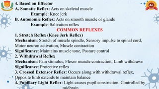 Nervous system B. pharmacy human anatomy | PPTX