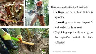 Coppice Method Roots Cultivation, Collection, Processing and storage of drugs of natural ...