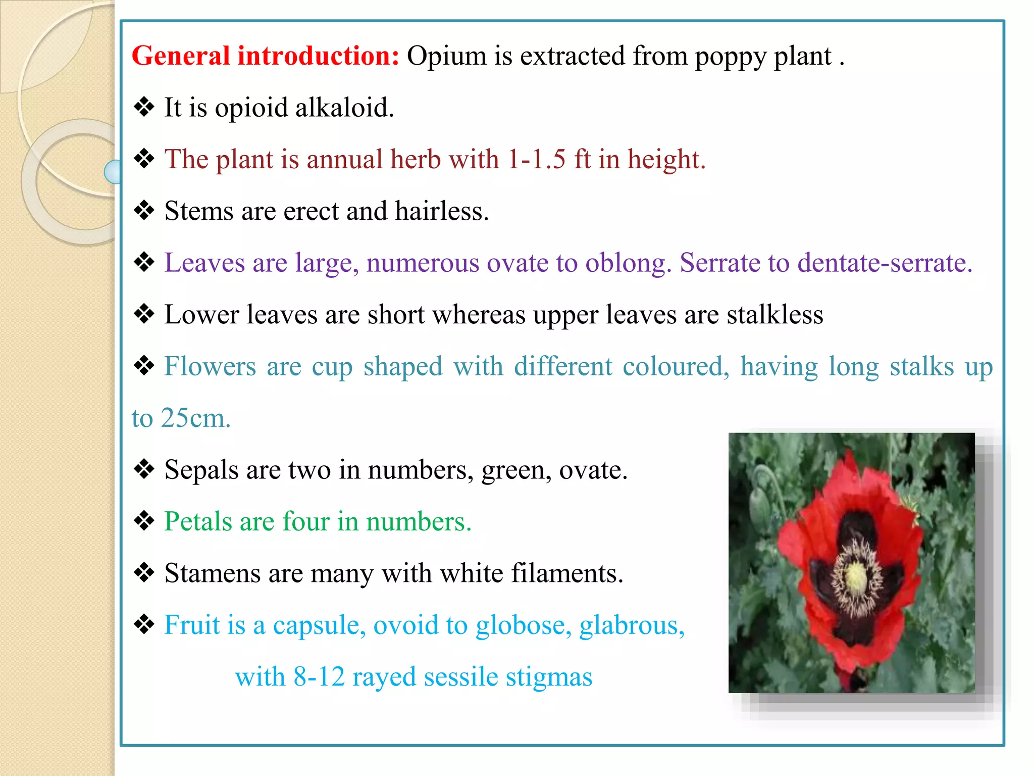 General introduction: Opium is extracted from poppy plant .
❖ It is opioid alkaloid.
❖ The plant is annual herb with 1-1.5 ft in height.
❖ Stems are erect and hairless.
❖ Leaves are large, numerous ovate to oblong. Serrate to dentate-serrate.
❖ Lower leaves are short whereas upper leaves are stalkless
❖ Flowers are cup shaped with different coloured, having long stalks up
to 25cm.
❖ Sepals are two in numbers, green, ovate.
❖ Petals are four in numbers.
❖ Stamens are many with white filaments.
❖ Fruit is a capsule, ovoid to globose, glabrous,
with 8-12 rayed sessile stigmas
 