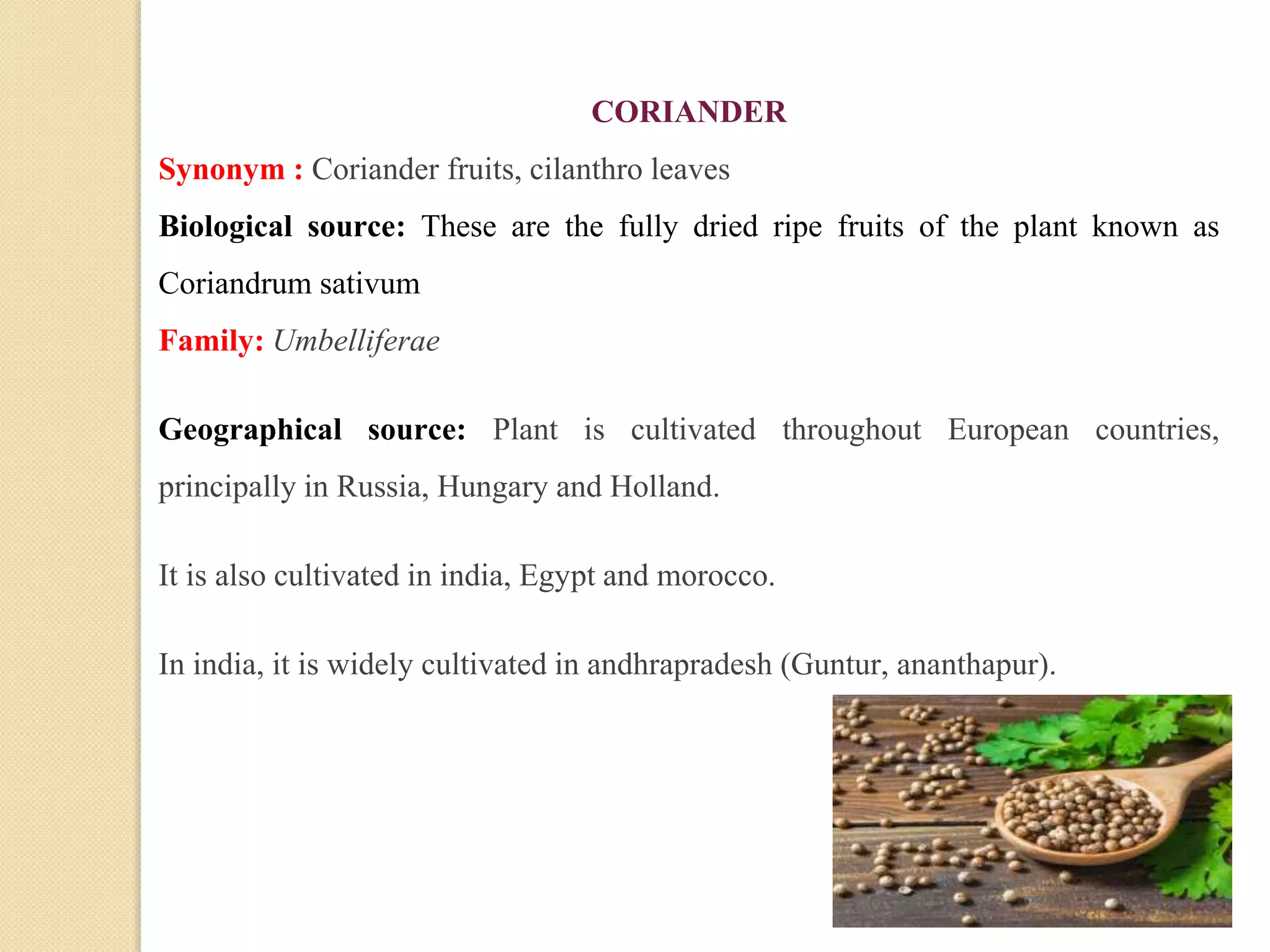 CORIANDER
Synonym : Coriander fruits, cilanthro leaves
Biological source: These are the fully dried ripe fruits of the plant known as
Coriandrum sativum
Family: Umbelliferae
Geographical source: Plant is cultivated throughout European countries,
principally in Russia, Hungary and Holland.
It is also cultivated in india, Egypt and morocco.
In india, it is widely cultivated in andhrapradesh (Guntur, ananthapur).
 