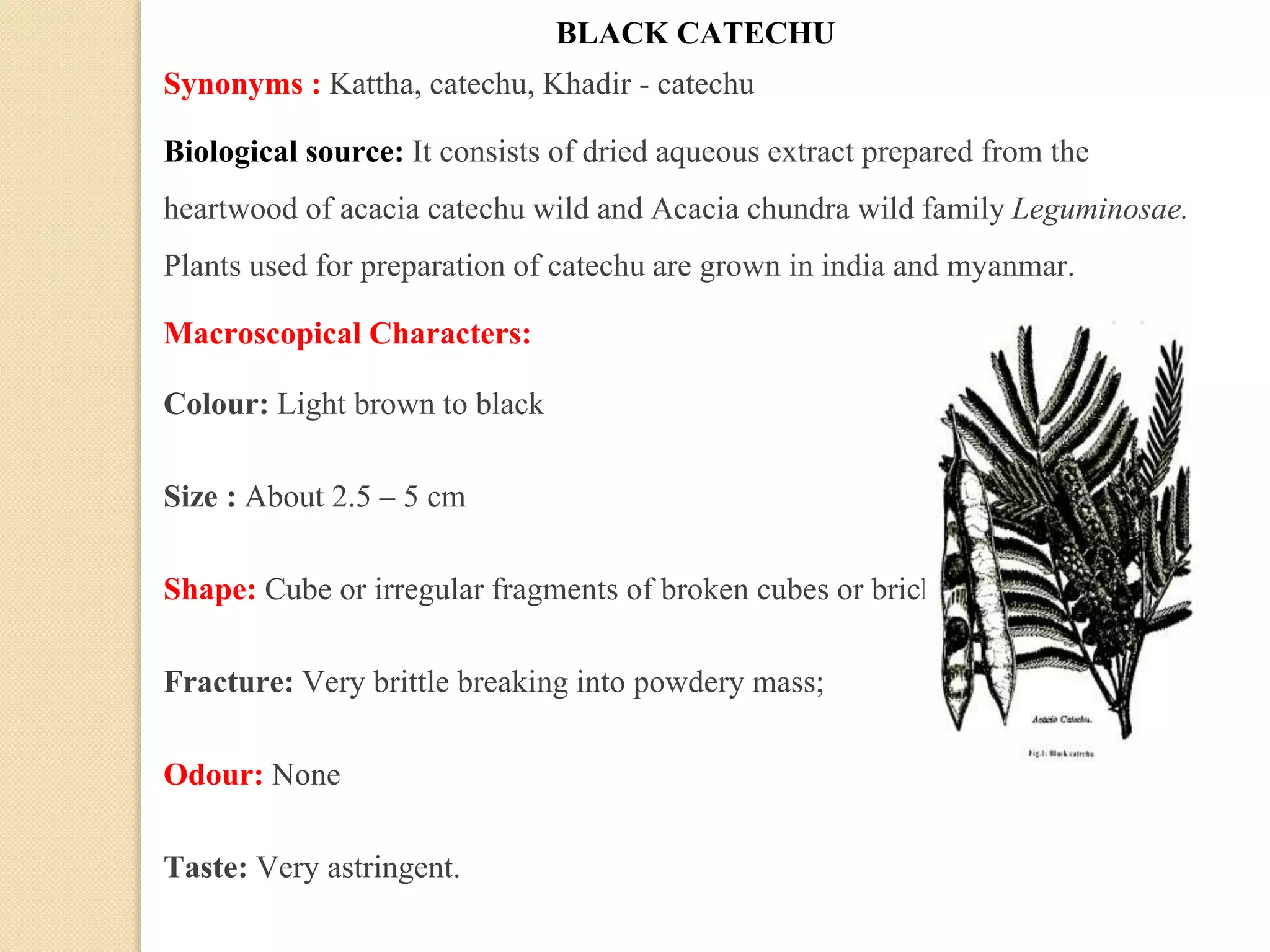 BLACK CATECHU
Synonyms : Kattha, catechu, Khadir - catechu
Biological source: It consists of dried aqueous extract prepared from the
heartwood of acacia catechu wild and Acacia chundra wild family Leguminosae.
Plants used for preparation of catechu are grown in india and myanmar.
Macroscopical Characters:
Colour: Light brown to black
Size : About 2.5 – 5 cm
Shape: Cube or irregular fragments of broken cubes or brick shaped pieces.
Fracture: Very brittle breaking into powdery mass;
Odour: None
Taste: Very astringent.
 