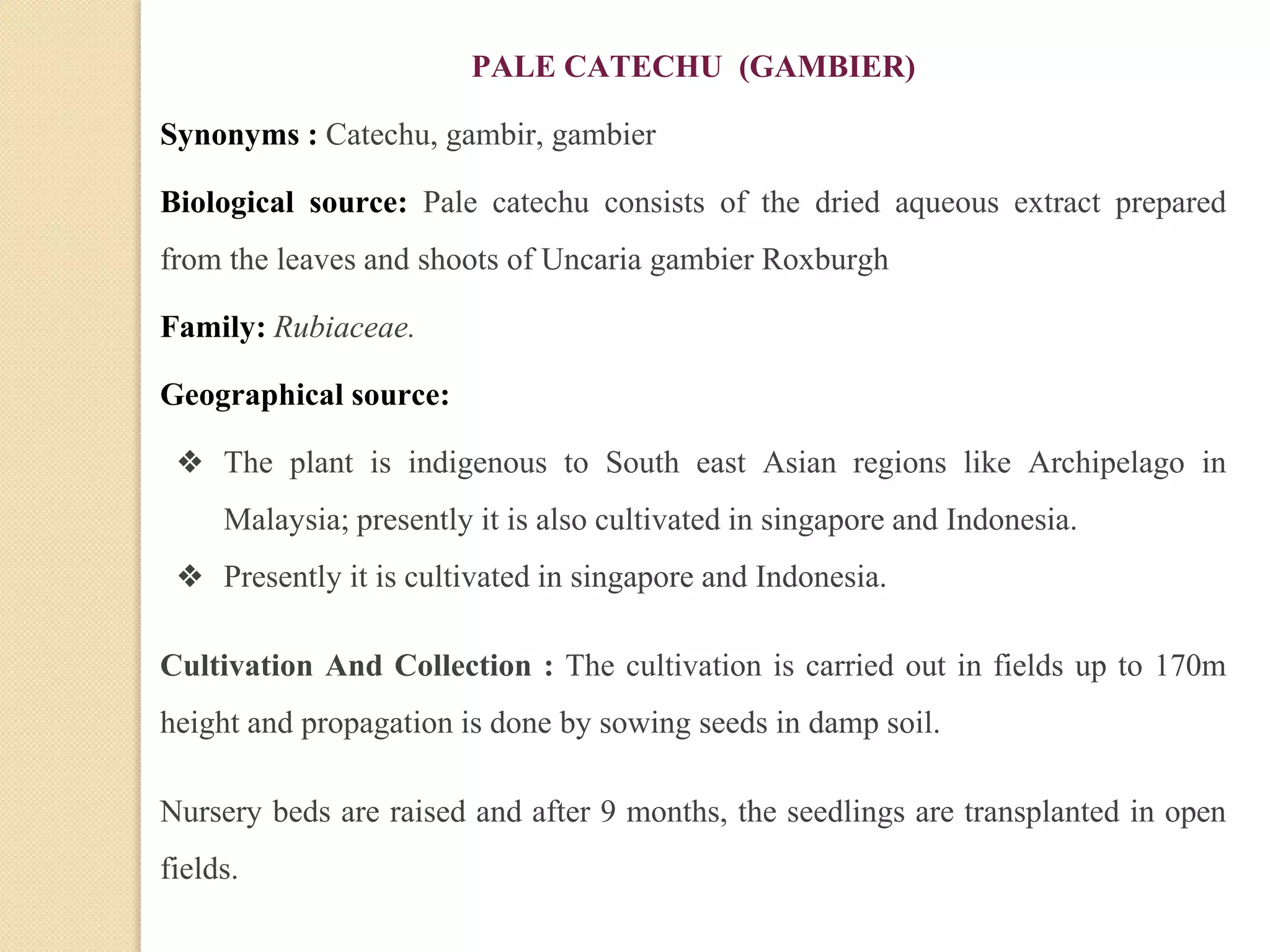 PALE CATECHU (GAMBIER)
Synonyms : Catechu, gambir, gambier
Biological source: Pale catechu consists of the dried aqueous extract prepared
from the leaves and shoots of Uncaria gambier Roxburgh
Family: Rubiaceae.
Geographical source:
❖ The plant is indigenous to South east Asian regions like Archipelago in
Malaysia; presently it is also cultivated in singapore and Indonesia.
❖ Presently it is cultivated in singapore and Indonesia.
Cultivation And Collection : The cultivation is carried out in fields up to 170m
height and propagation is done by sowing seeds in damp soil.
Nursery beds are raised and after 9 months, the seedlings are transplanted in open
fields.
 