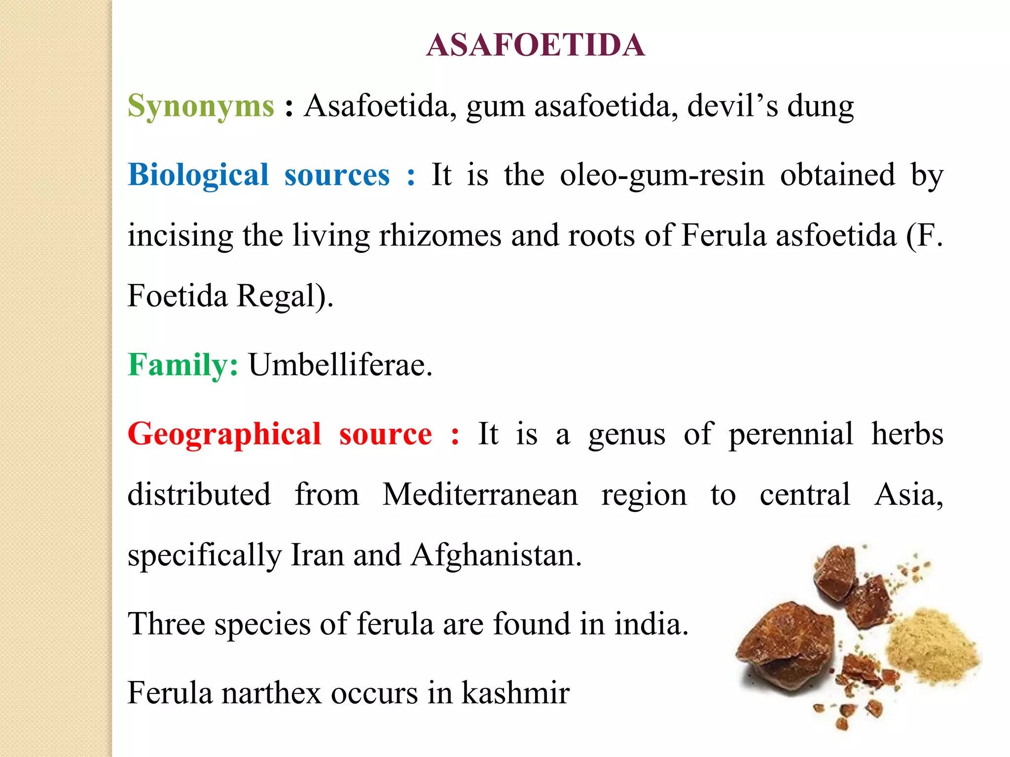 ASAFOETIDA
Synonyms : Asafoetida, gum asafoetida, devil’s dung
Biological sources : It is the oleo-gum-resin obtained by
incising the living rhizomes and roots of Ferula asfoetida (F.
Foetida Regal).
Family: Umbelliferae.
Geographical source : It is a genus of perennial herbs
distributed from Mediterranean region to central Asia,
specifically Iran and Afghanistan.
Three species of ferula are found in india.
Ferula narthex occurs in kashmir
 