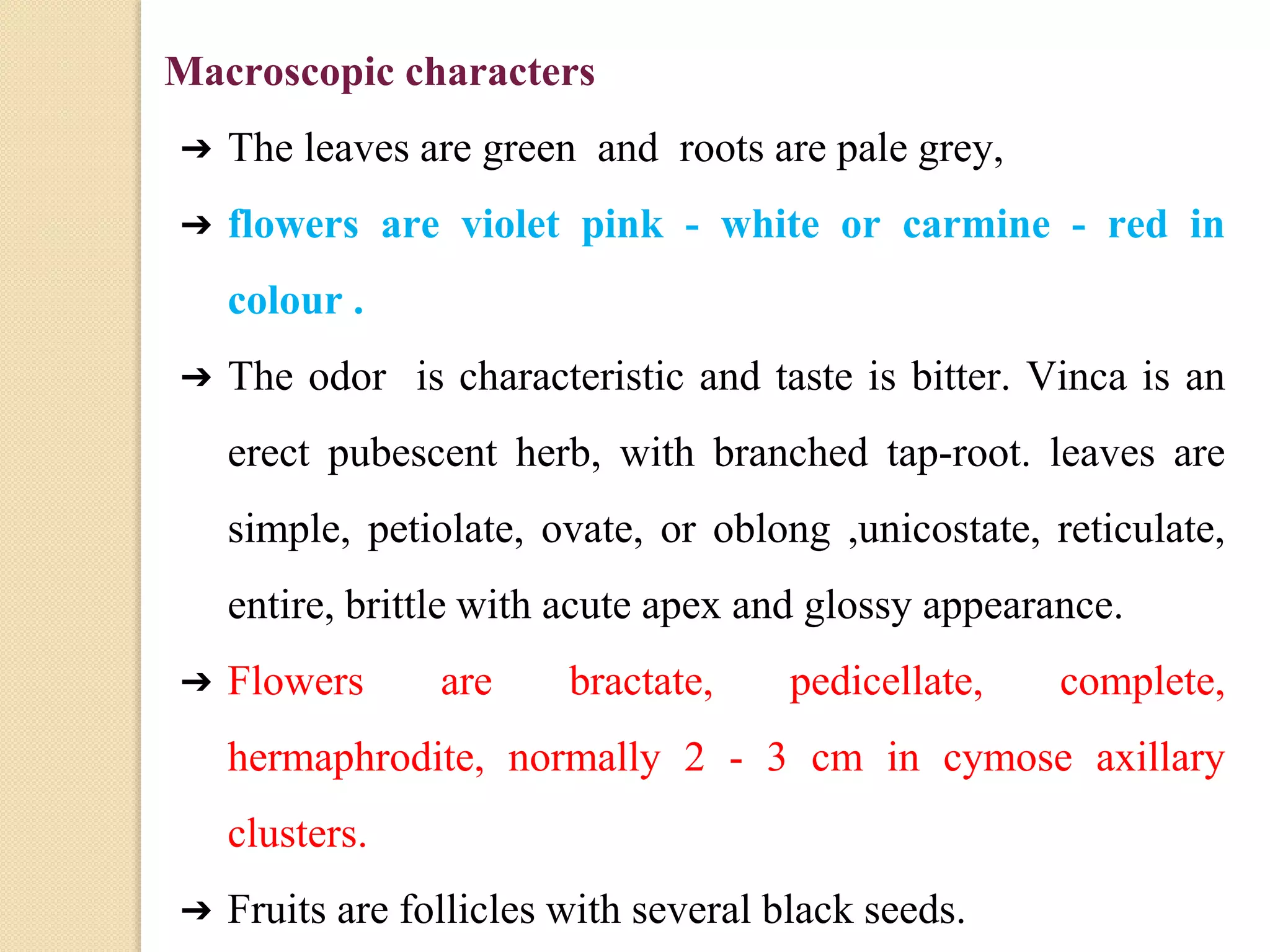 Macroscopic characters
➔ The leaves are green and roots are pale grey,
➔ flowers are violet pink - white or carmine - red in
colour .
➔ The odor is characteristic and taste is bitter. Vinca is an
erect pubescent herb, with branched tap-root. leaves are
simple, petiolate, ovate, or oblong ,unicostate, reticulate,
entire, brittle with acute apex and glossy appearance.
➔ Flowers are bractate, pedicellate, complete,
hermaphrodite, normally 2 - 3 cm in cymose axillary
clusters.
➔ Fruits are follicles with several black seeds.
 