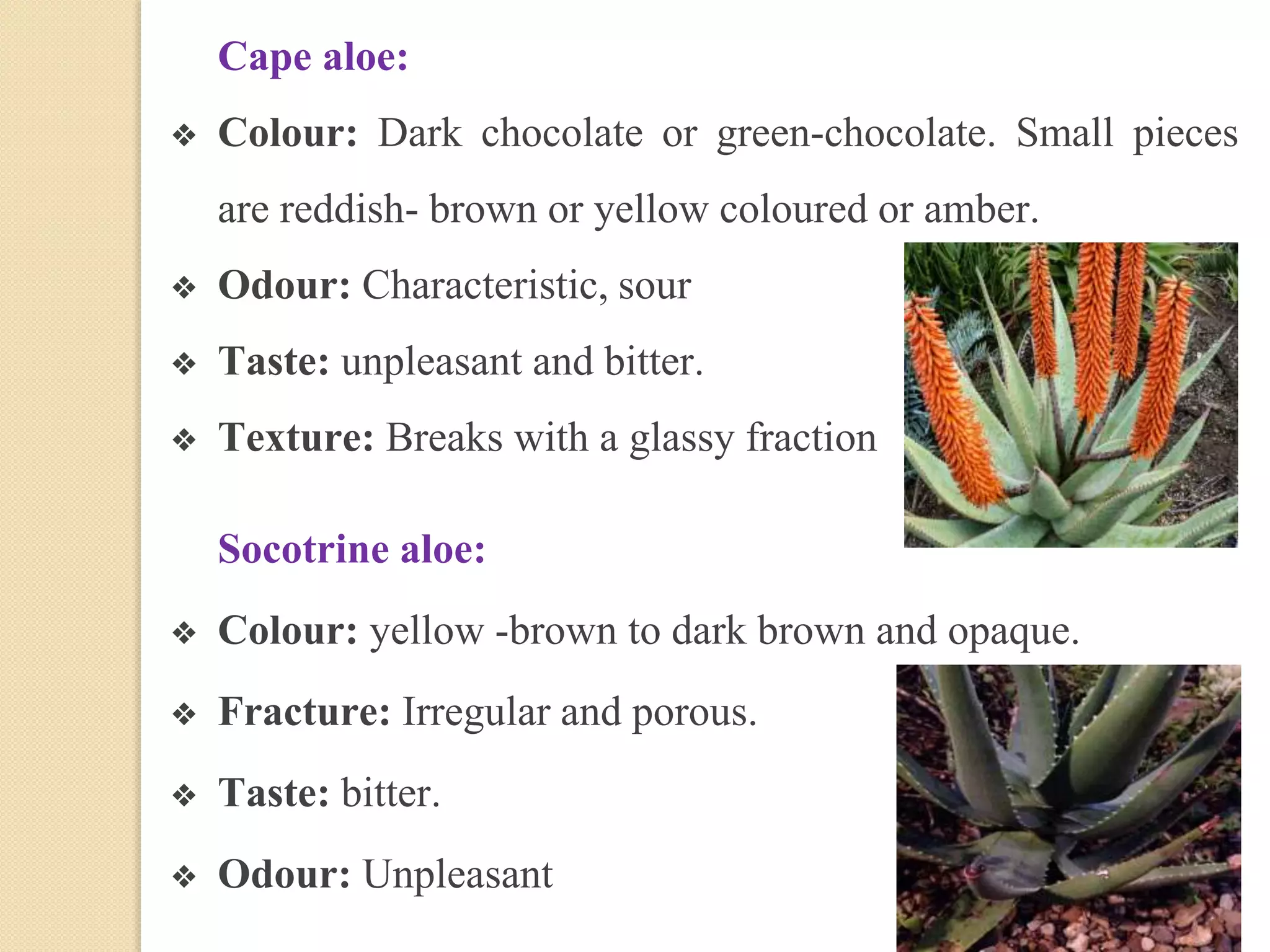 Cape aloe:
❖ Colour: Dark chocolate or green-chocolate. Small pieces
are reddish- brown or yellow coloured or amber.
❖ Odour: Characteristic, sour
❖ Taste: unpleasant and bitter.
❖ Texture: Breaks with a glassy fraction
Socotrine aloe:
❖ Colour: yellow -brown to dark brown and opaque.
❖ Fracture: Irregular and porous.
❖ Taste: bitter.
❖ Odour: Unpleasant
 