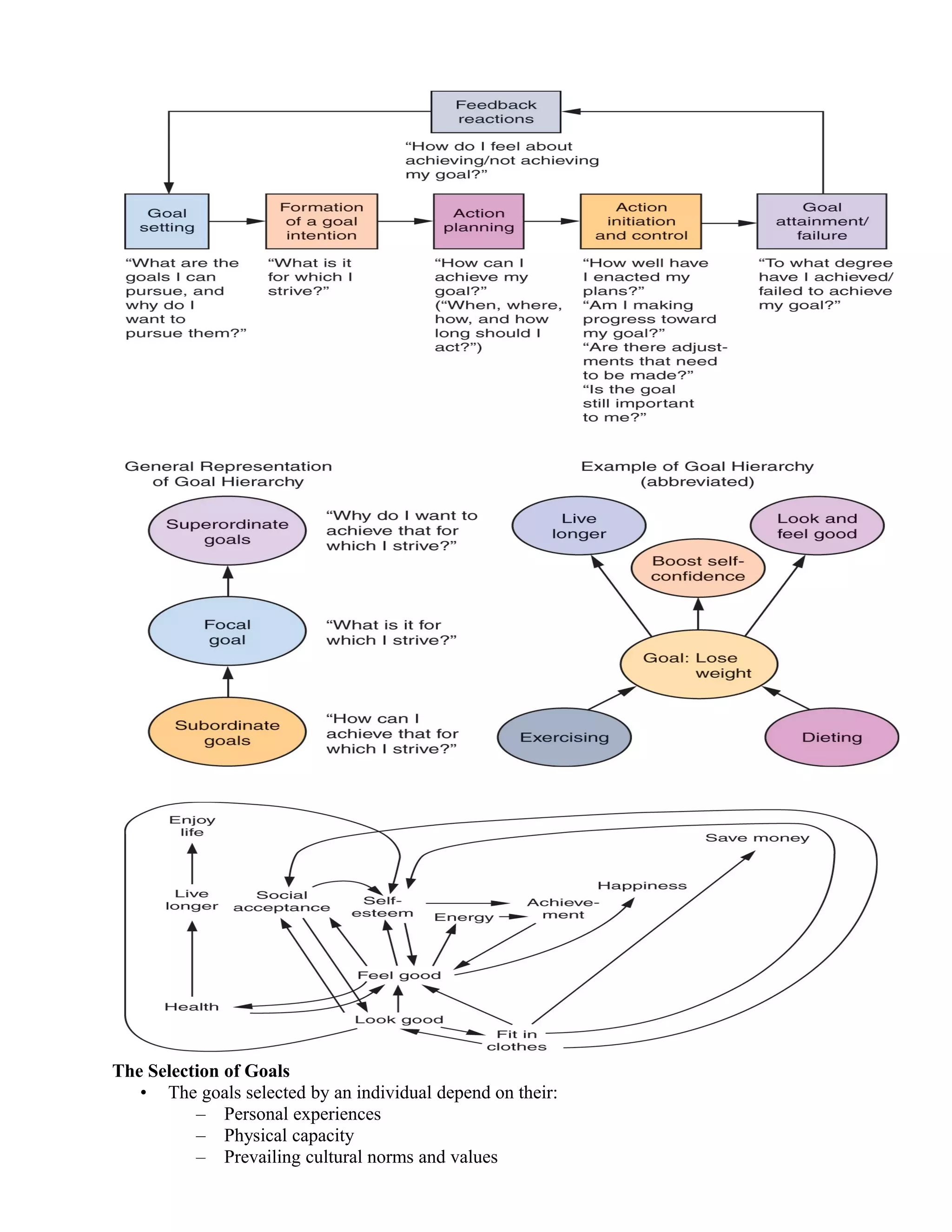 The Selection of Goals
   • The goals selected by an individual depend on their:
          – Personal experiences
          – Physical capacity
          – Prevailing cultural norms and values
 