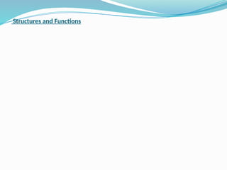 Structures and Functions
 