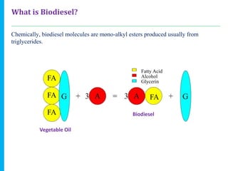 BioFuels (Incl. Biodiesel) | PPTX