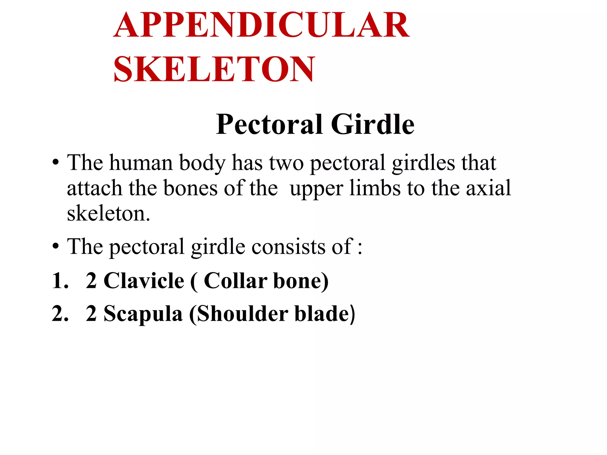 Unit ii, chapter-2- skeletal system | PPTX