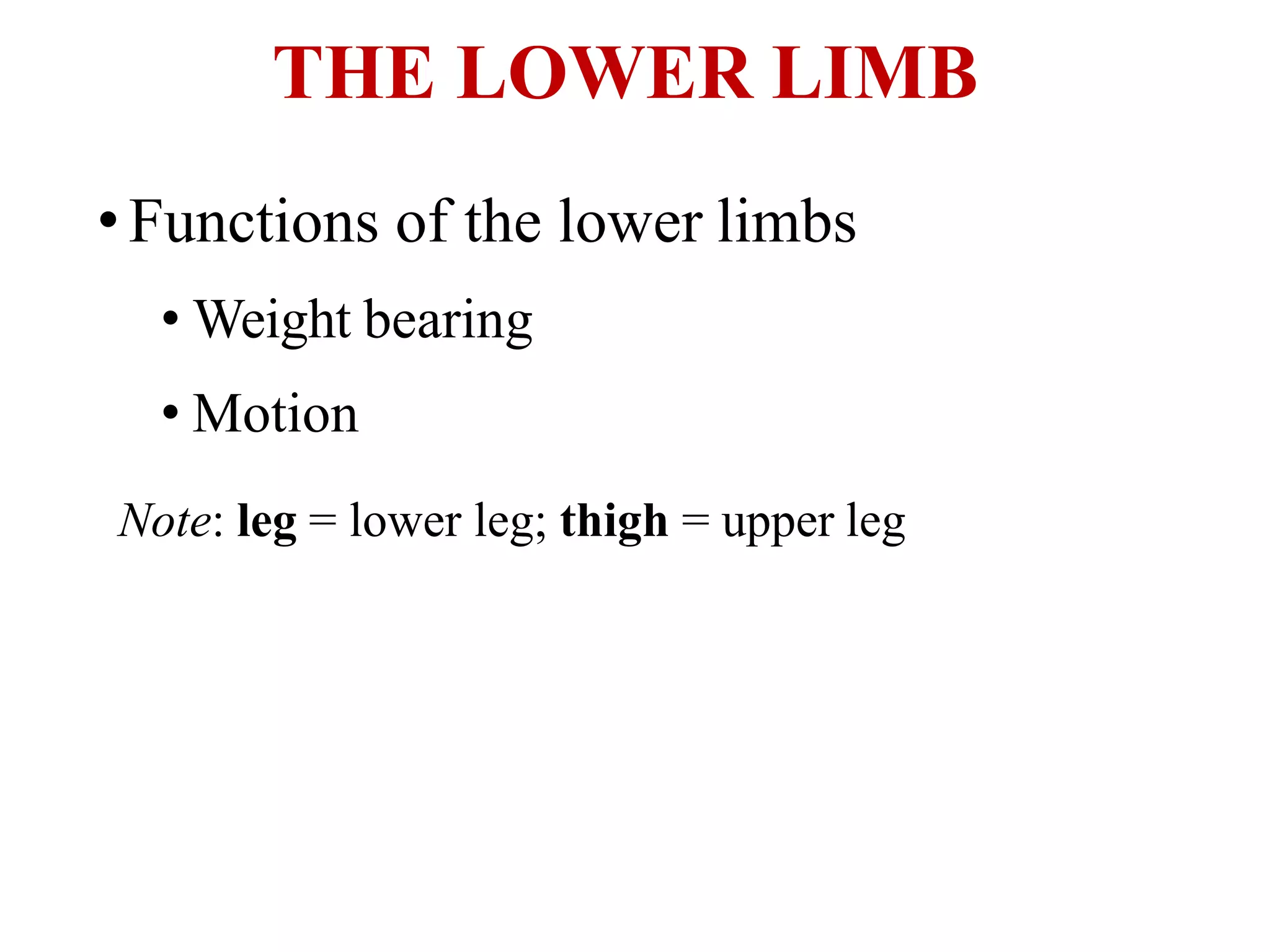 Unit ii, chapter-2- skeletal system | PPTX