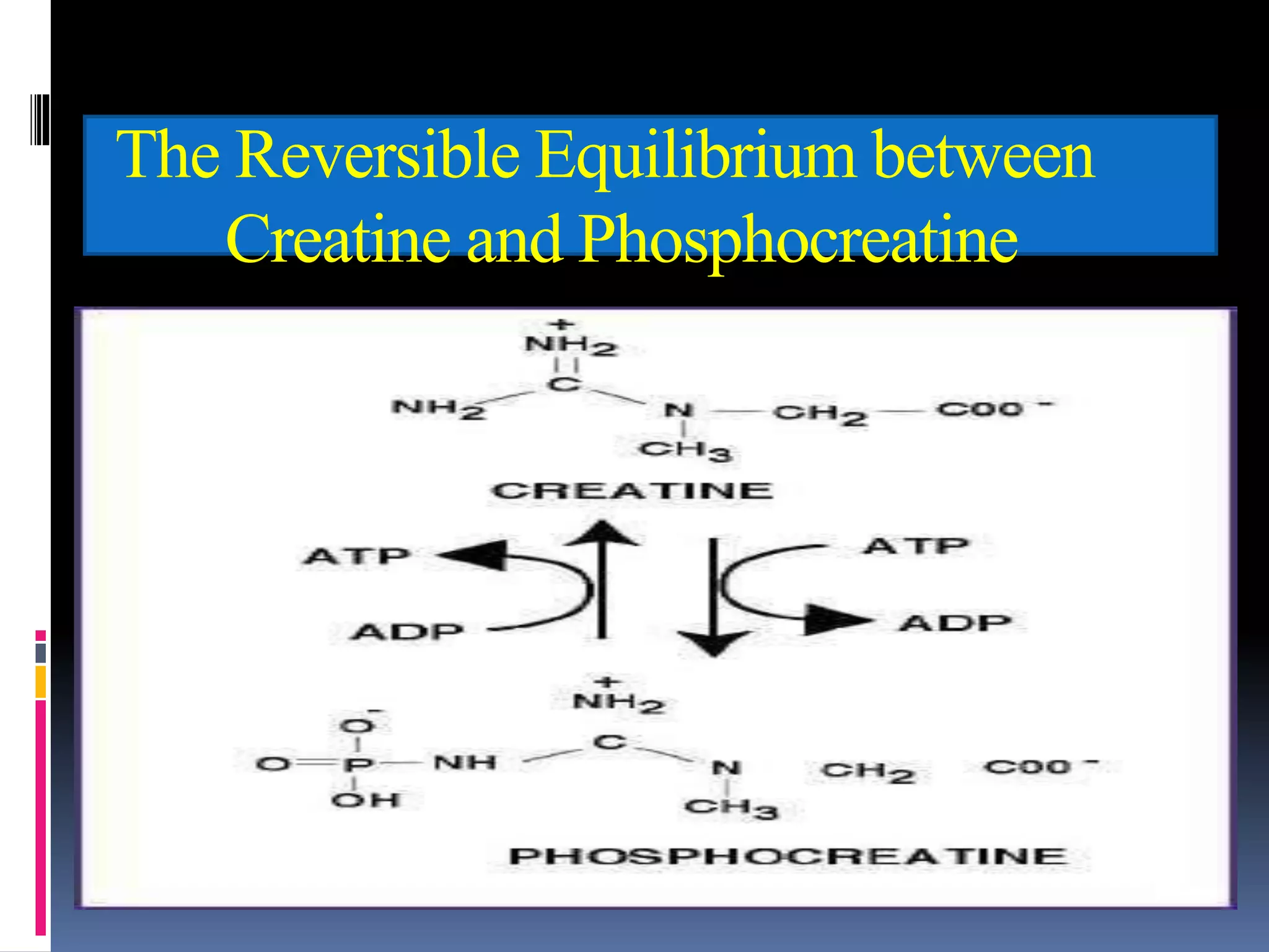 Unit-II, Chapter_1.2- Creatinine.ppt
