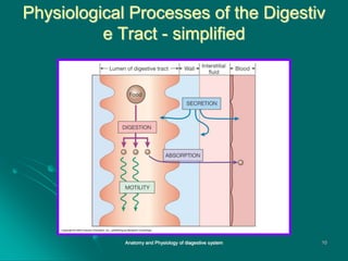 Physiological Processes of the Digestiv
e Tract - simplified
10
Anatomy and Physiology of diagestive system
 