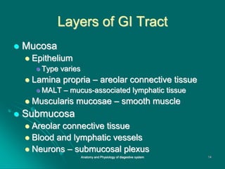 Layers of GI Tract
 Mucosa
 Epithelium
 Type varies
 Lamina propria – areolar connective tissue
 MALT – mucus-associated lymphatic tissue
 Muscularis mucosae – smooth muscle
 Submucosa
 Areolar connective tissue
 Blood and lymphatic vessels
 Neurons – submucosal plexus
14
Anatomy and Physiology of diagestive system
 